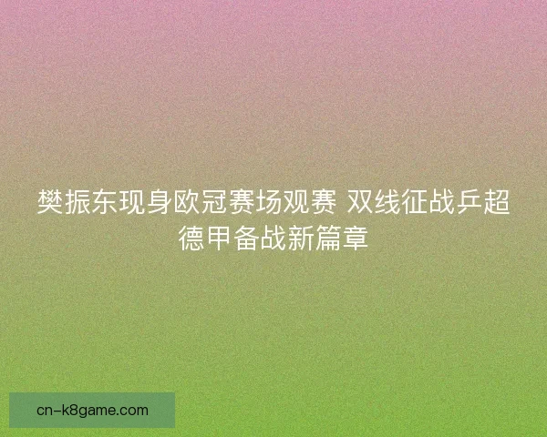 樊振东现身欧冠赛场观赛 双线征战乒超德甲备战新篇章
